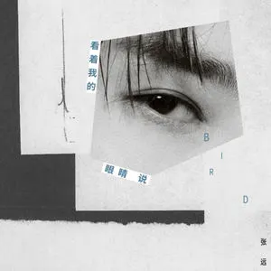 小眼睛专辑封面